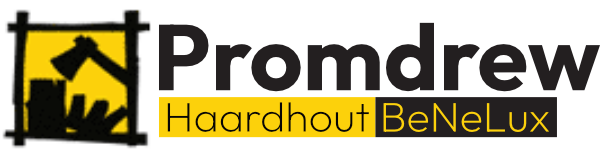 logo Promdrew